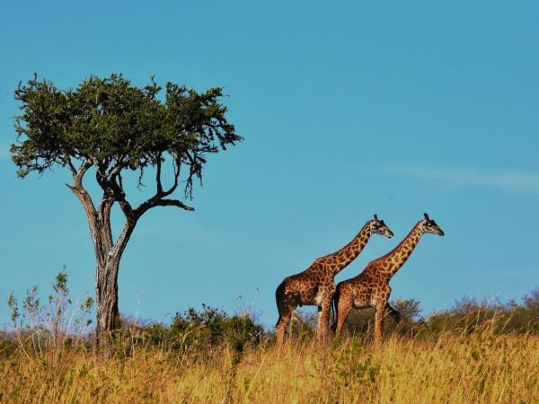 Best of Tanzania small group holiday