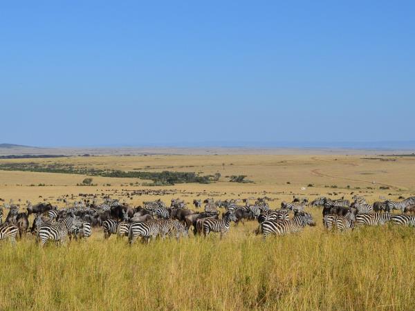 Best of Tanzania small group holiday