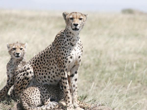 Best of Tanzania small group holiday