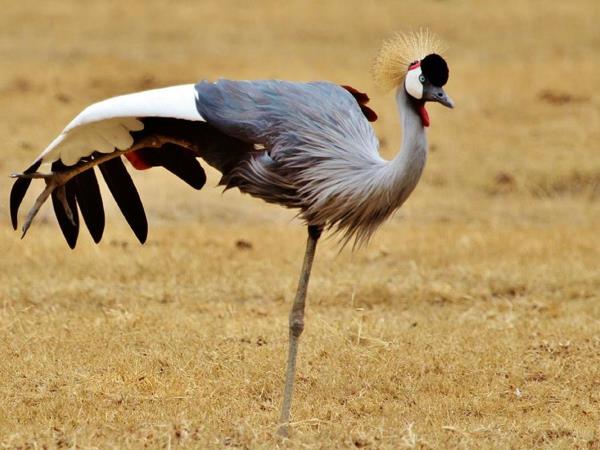 Best of Tanzania small group holiday