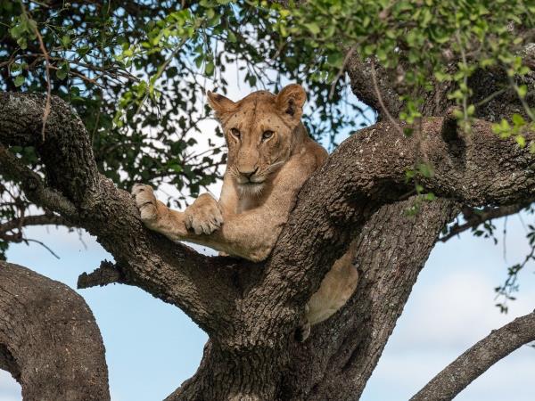 Best of Tanzania small group holiday