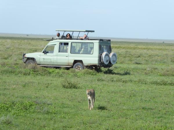 Best of Tanzania small group holiday
