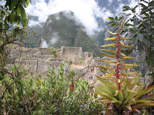 Galapagos and Machu Picchu holiday
