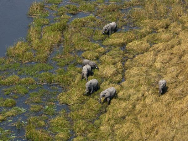 Botswana explorer luxury camping safari