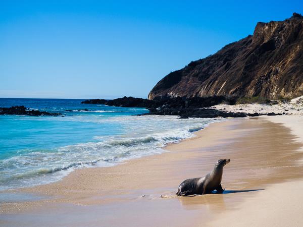Galapagos and Machu Picchu holiday