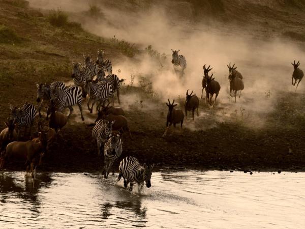 Kenya and Tanzania private safari holiday