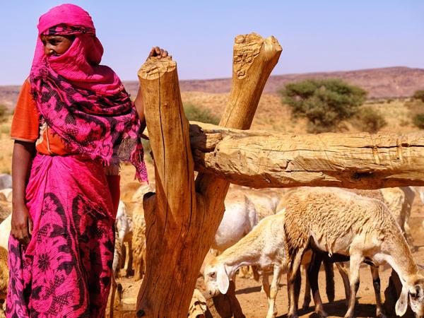 Sudan ancient history holiday