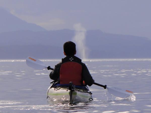 Orca family kayaking tour, Vancouver Island