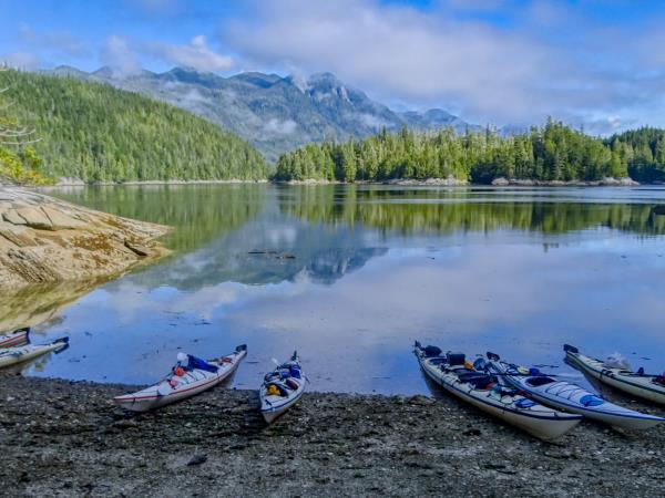 Orca family kayaking tour, Vancouver Island