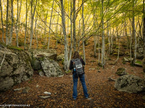 Learn spanish and walking holiday in the spanish Pyrenees