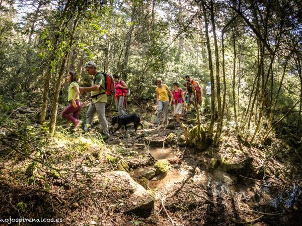Learn spanish and walking holiday in the spanish Pyrenees