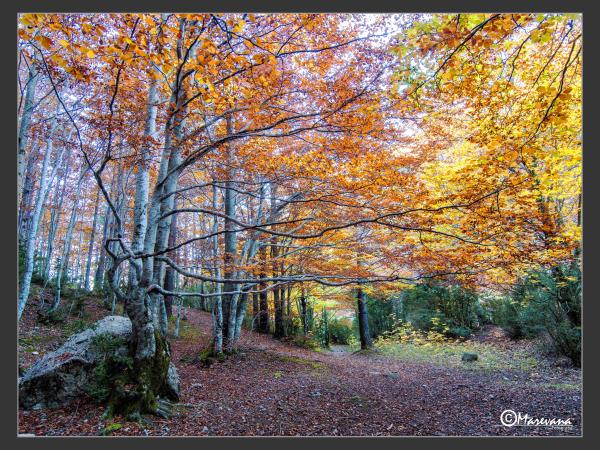 Learn spanish and walking holiday in the spanish Pyrenees