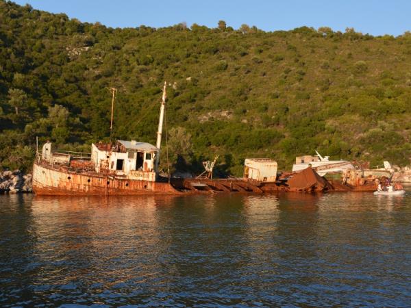 Dolphin conservation holiday in Greece