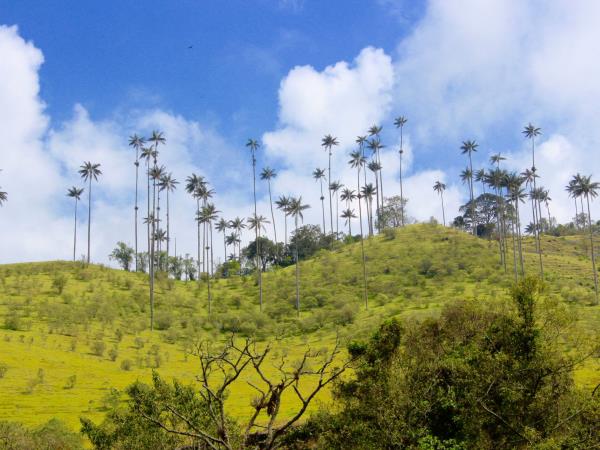 Colombia luxury tailor made holiday