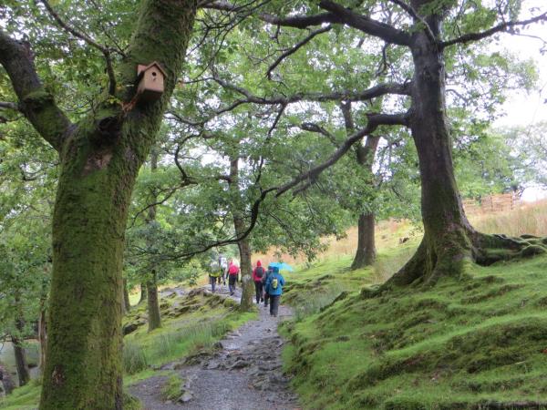 Womens activity holiday in the Lake District