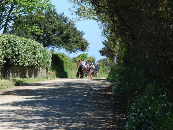Guernsey walking holiday