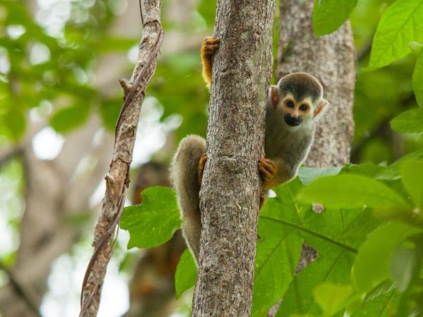Costa Rica luxury holiday