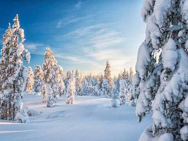 Christmas in Lapland holiday