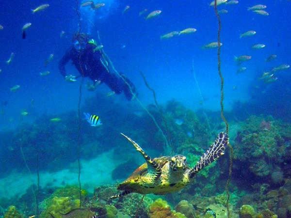 Tailor made holiday in Madagascar