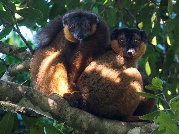 Tailor made holiday in Madagascar