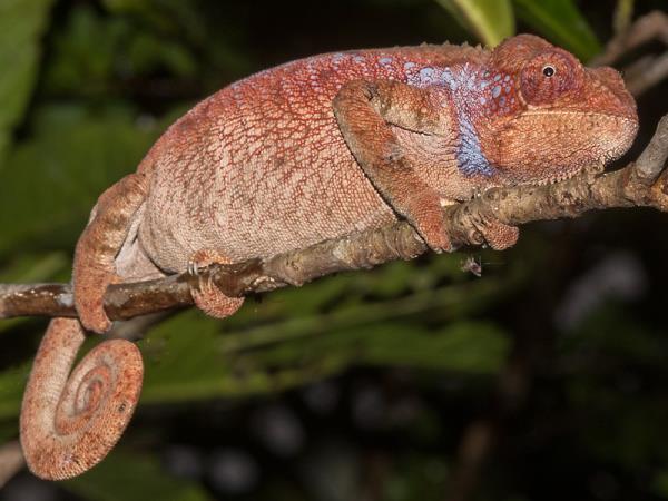 Tailor made holiday in Madagascar