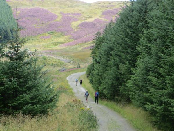 Lake District walking holiday