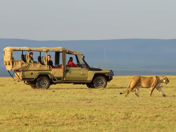 Kenya safari holiday, tailor made