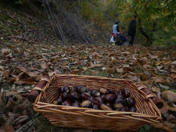 Hiking in Peloponnese holiday, Parnon Mountain