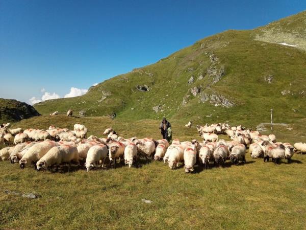 Transylvanian Alps trekking holiday