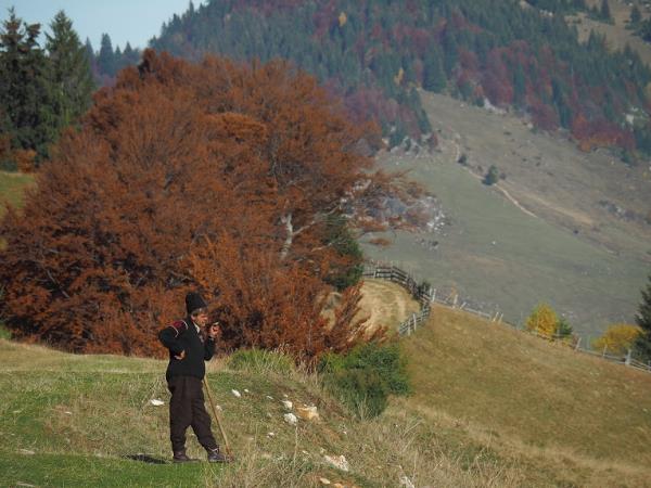 Carpathian mountains holiday in Romania