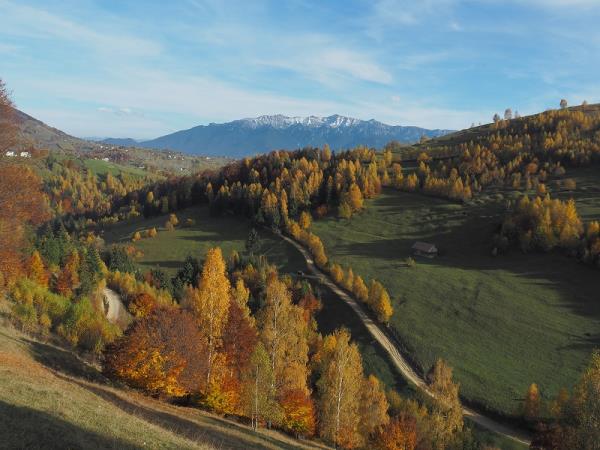 Carpathian mountains holiday in Romania