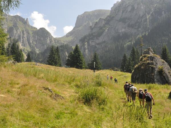 Carpathian mountains holiday in Romania