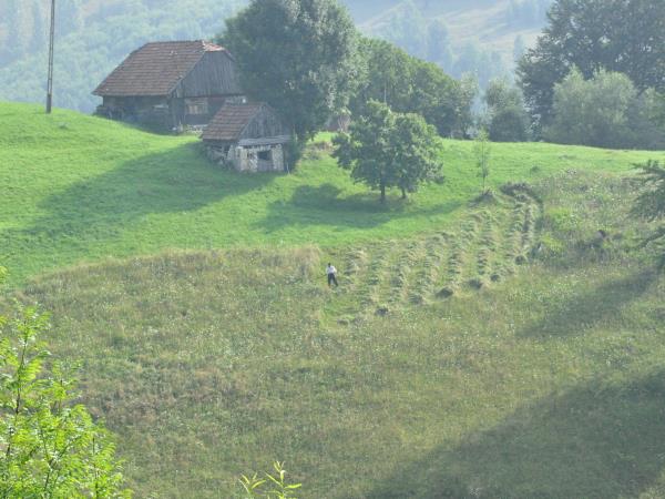 Carpathian mountains holiday in Romania