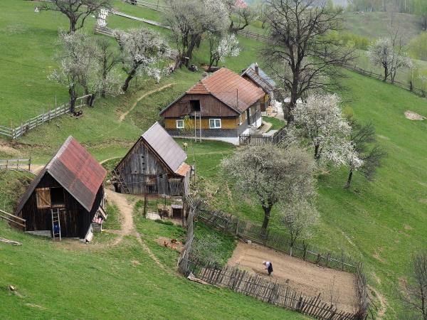 Carpathian mountains holiday in Romania