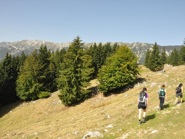 Walking holiday in Romania National Parks