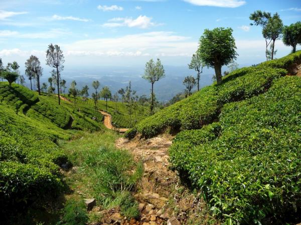 Sri Lanka walking holiday