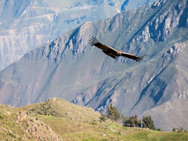 Peru walking holiday, small group