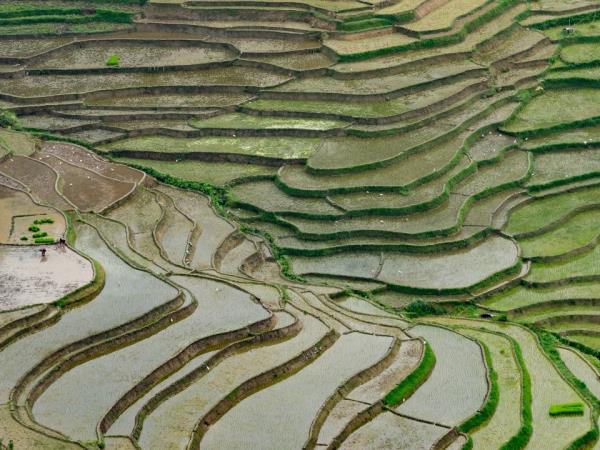 Nepal, Bhutan and Tibet holiday