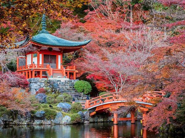 Highlights of Japan small group tour