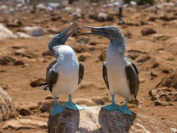 Ecuador and the Galapagos Islands wallking holiday