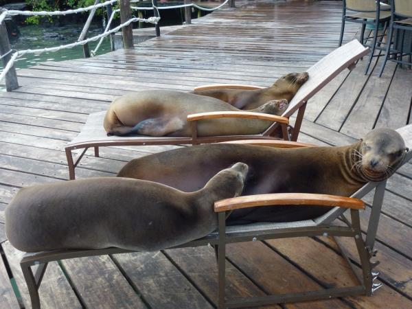 Ecuador and the Galapagos Islands wallking holiday