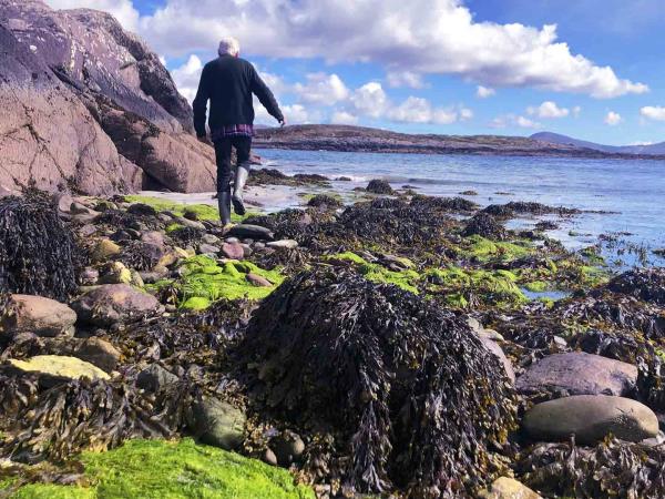 Wild Atlantic Way guided rail tour in Ireland