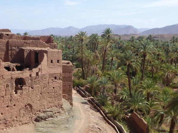 Painting holiday in Morocco