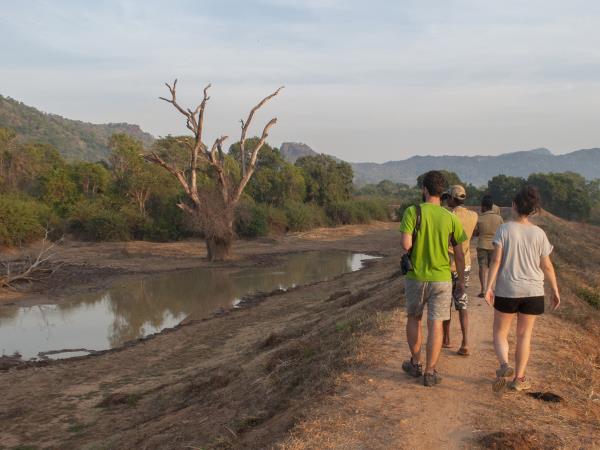 Yala wildlife tour in Sri Lanka
