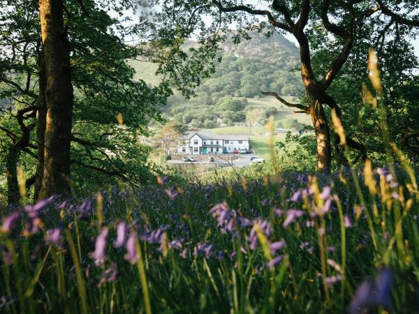 14 Peaks hiking tour in Snowdonia