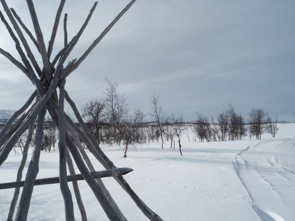 Guided winter holiday in Lapland