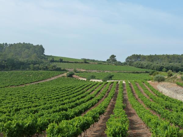 Villages of Provence cycling holiday
