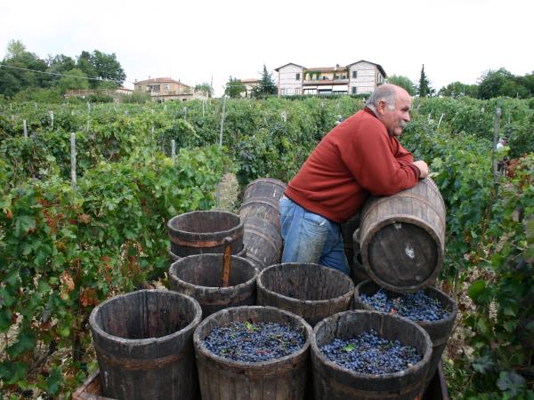 Tuscany self guided walking holiday in Italy