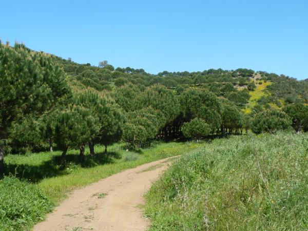 Algarve walking holiday, west to east