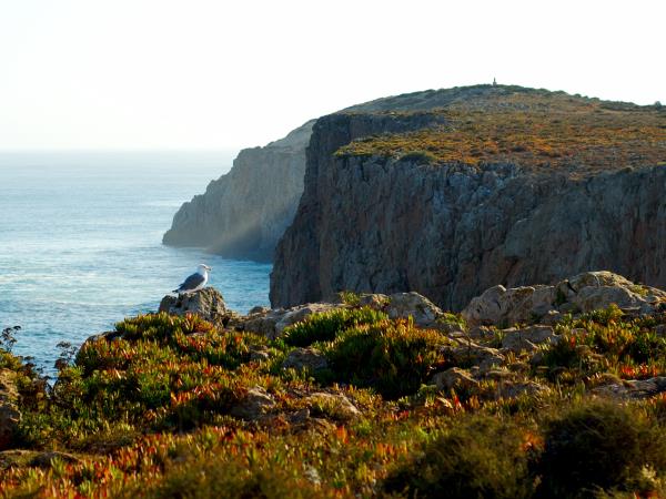 Algarve walking holiday, west to east